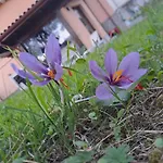 Holiday home Dentro Le Mura, Natura Relax E Cultura
