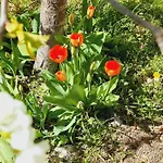 Dentro Le Mura, Natura Relax E Cultura L'Aquila