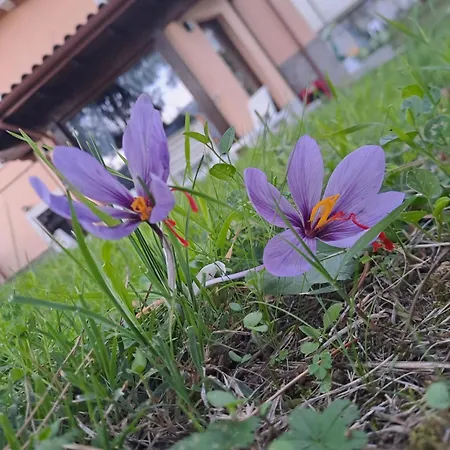 Holiday home Dentro Le Mura, Natura Relax E Cultura