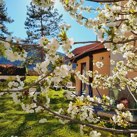 Holiday home Dentro Le Mura, Natura Relax E Cultura