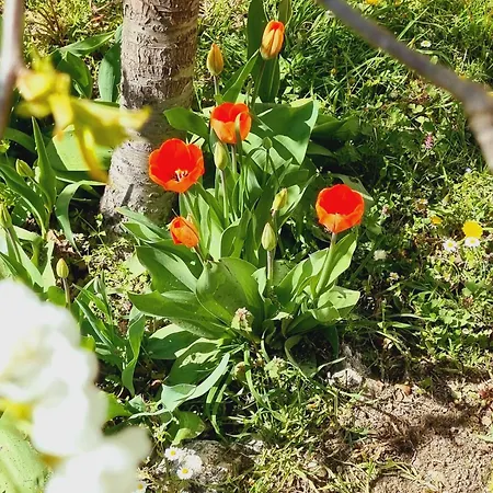 Dentro Le Mura, Natura Relax E Cultura LʼAquila