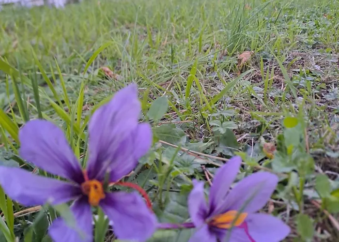 Dentro Le Mura, Natura Relax E Cultura *