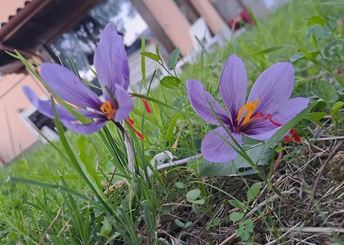Vakantiehuis Dentro Le Mura, Natura Relax E Cultura